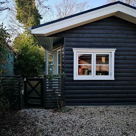 Spurvereden Ved Vandet * Greve