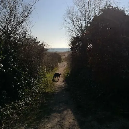 בית הארחה Spurvereden Ved Vandet Greve